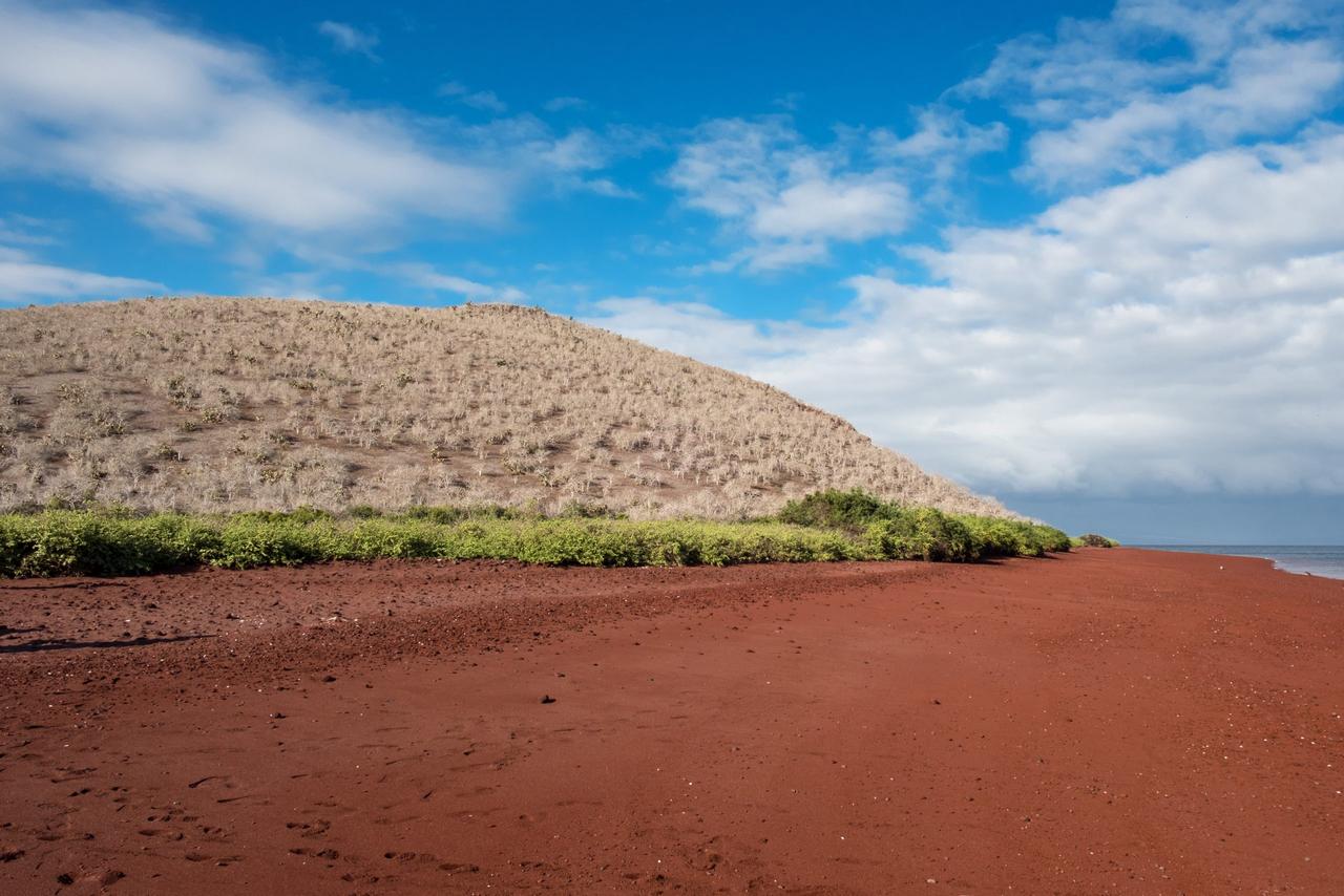 Красный песок на Галапагосском острове Рабида Красный песок на Галапагосском острове Рабида, фото